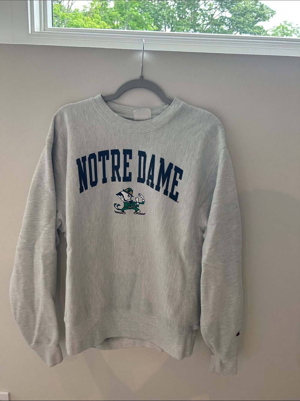 Champion Gray Notre Dame Crewneck Sweatshirt